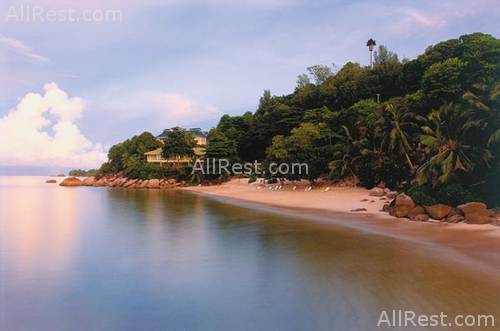 Black Parrot Suites Superior 14